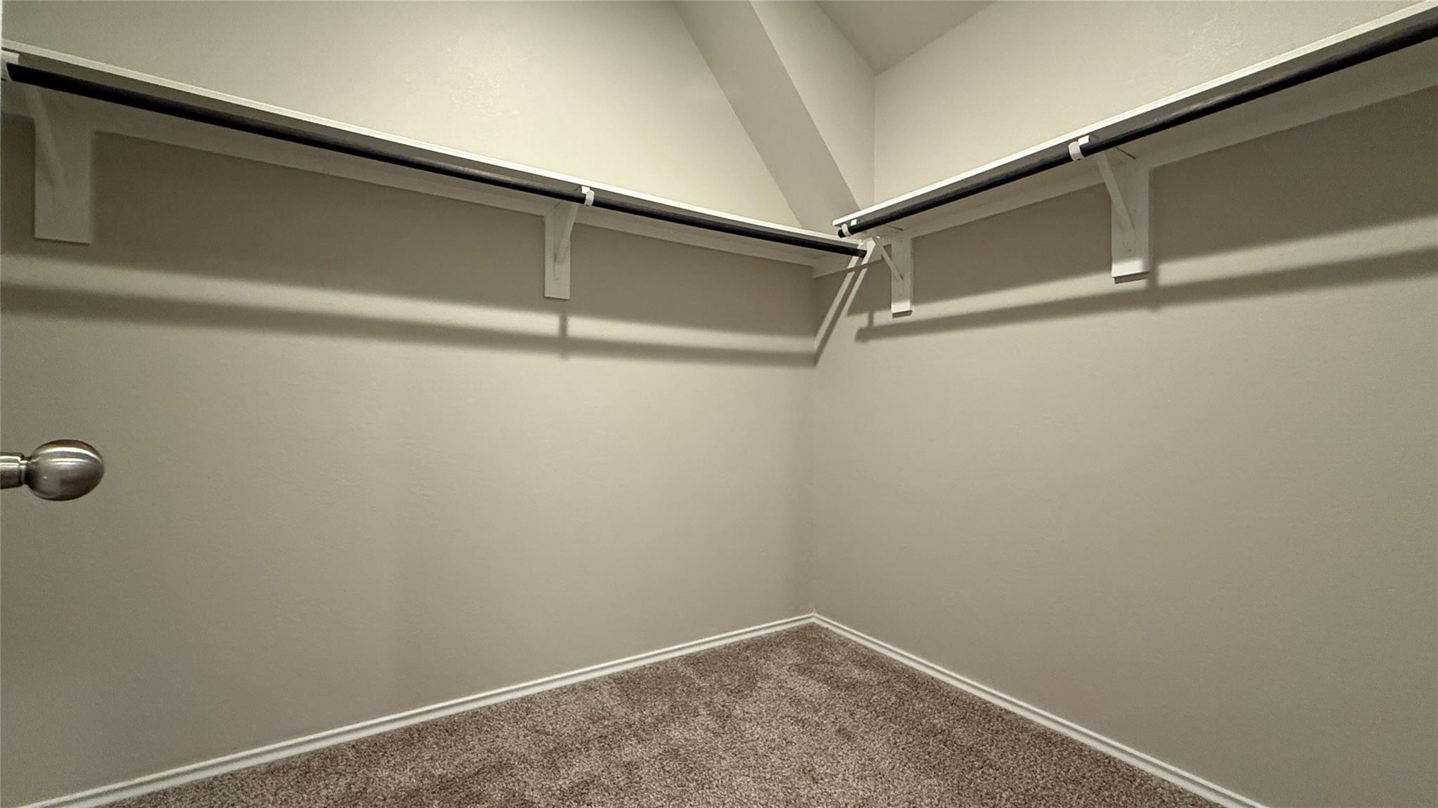 13909 Payette Arbor Court