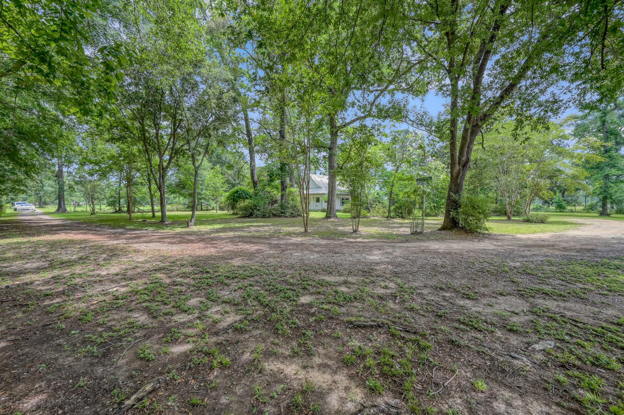 16892 Payne Road