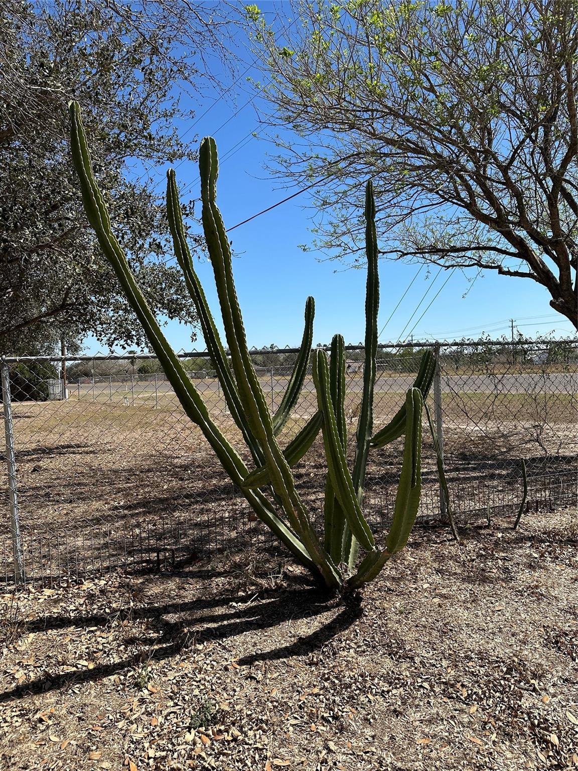 7536 State Highway 107