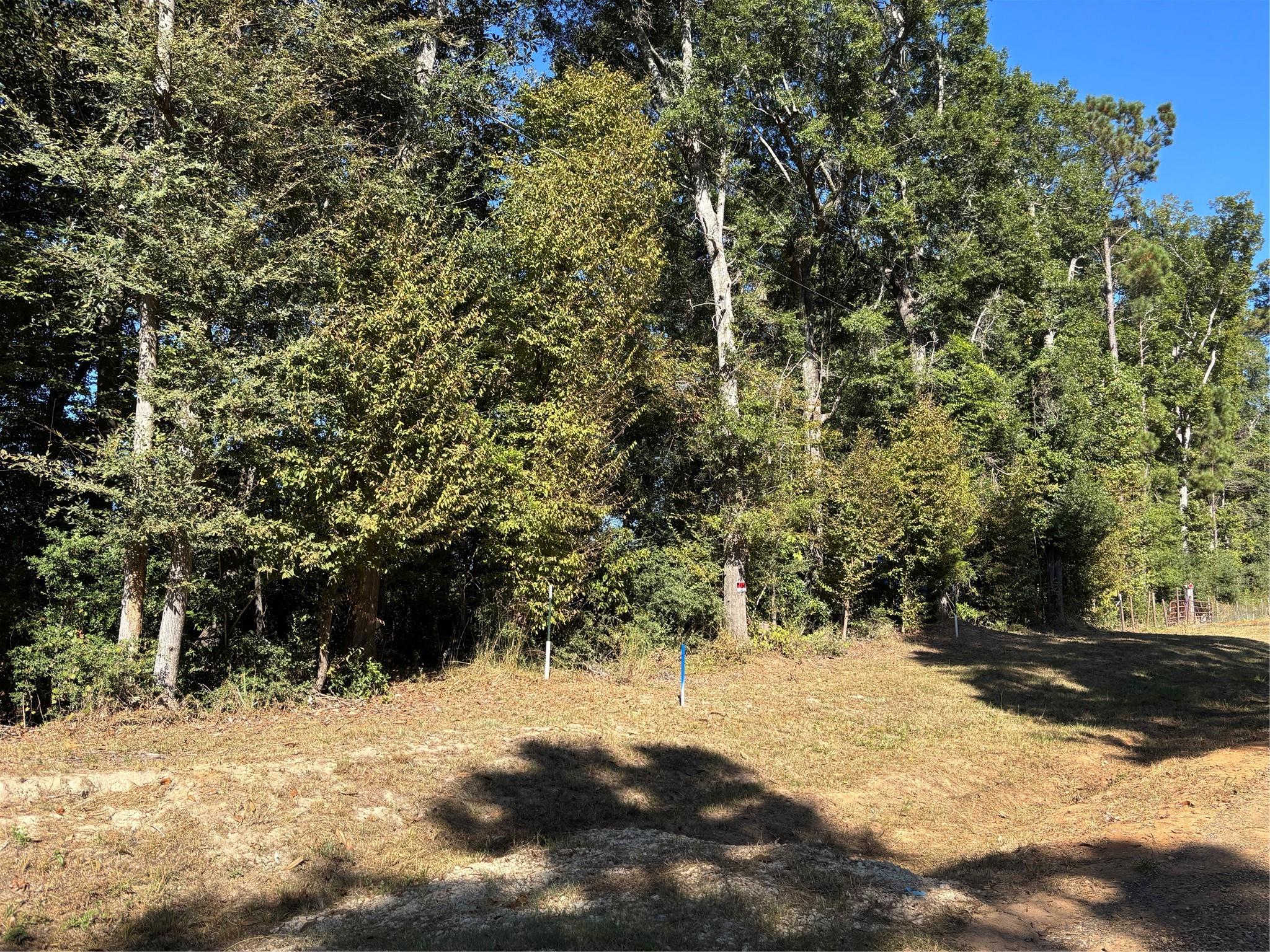 0000 L C Herschap Lane