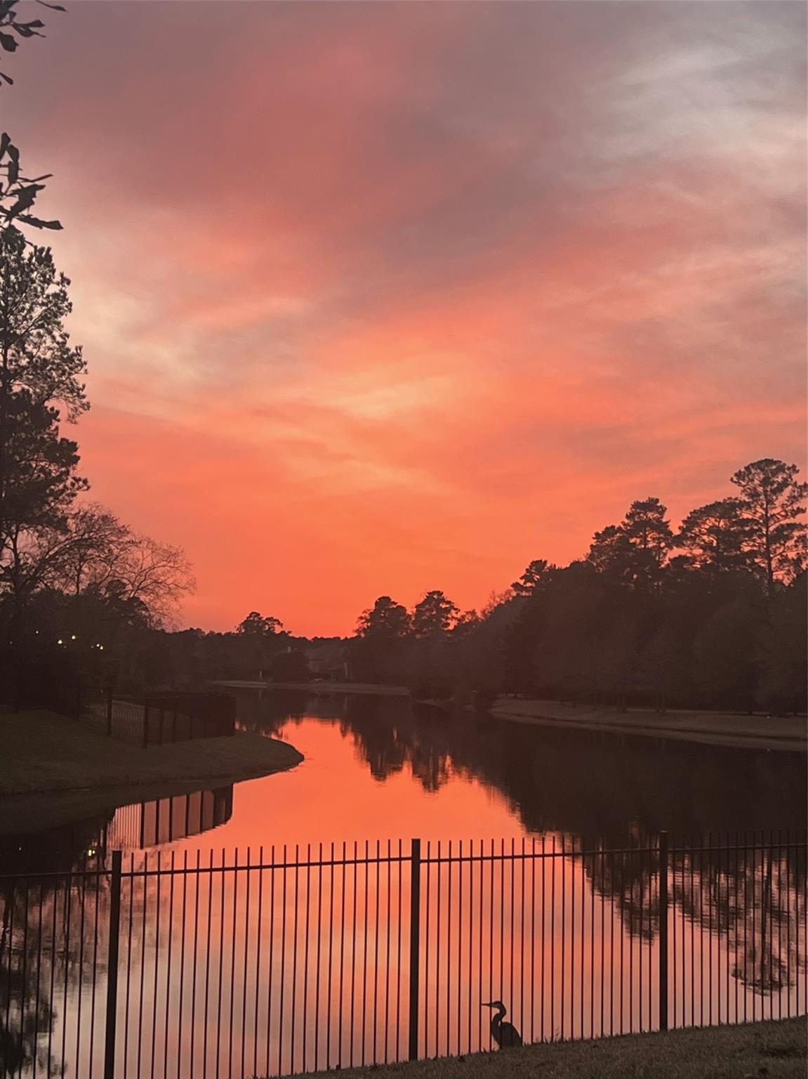 50 Cove View Trail Court