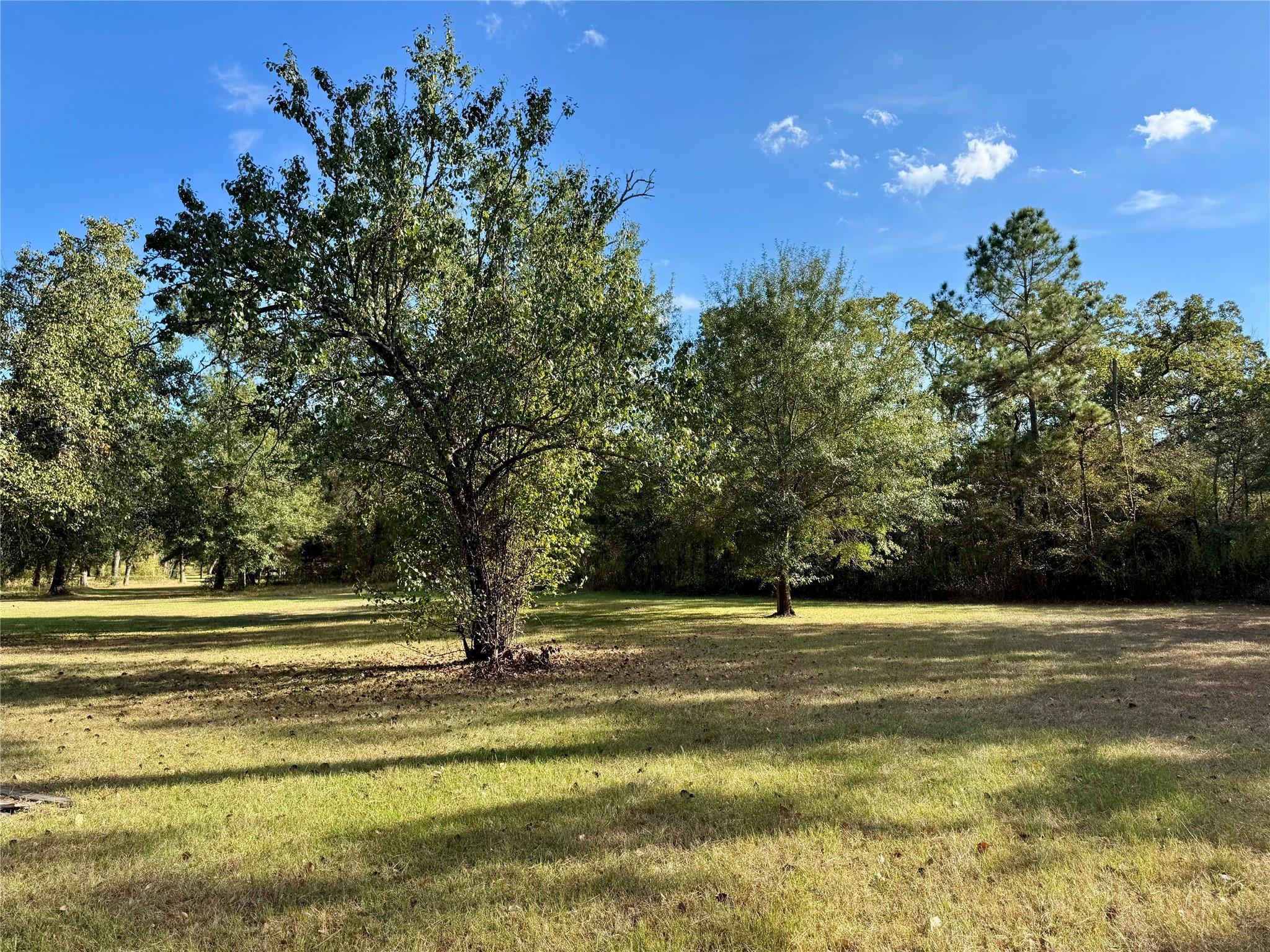 13 Chandler Road, Huntsville