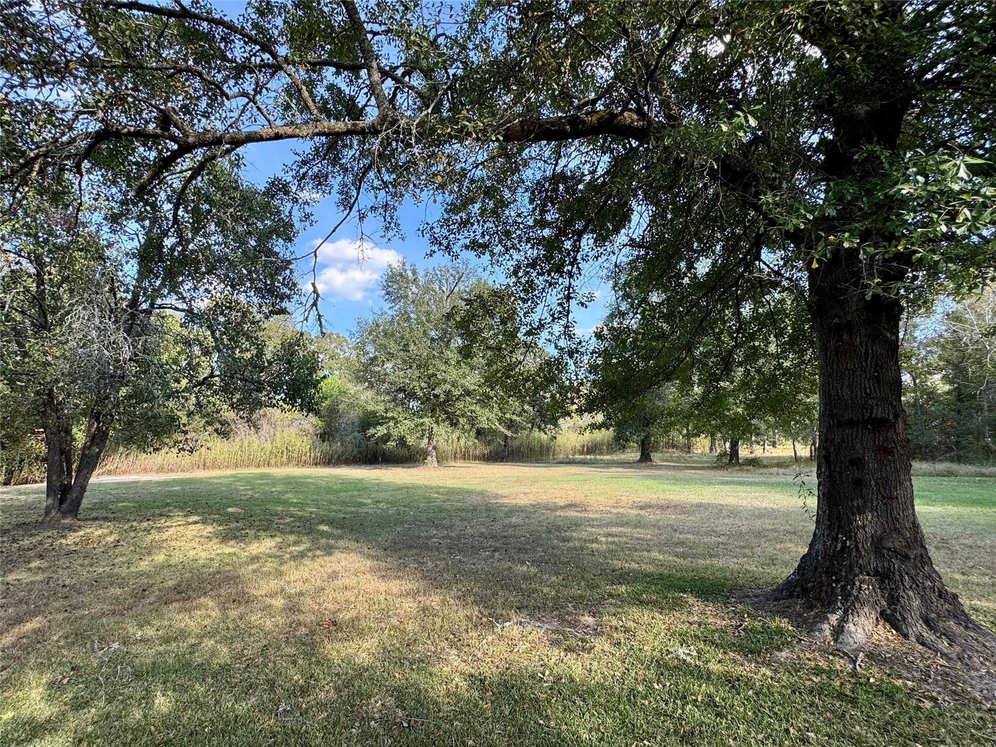 13 Chandler Road, Huntsville