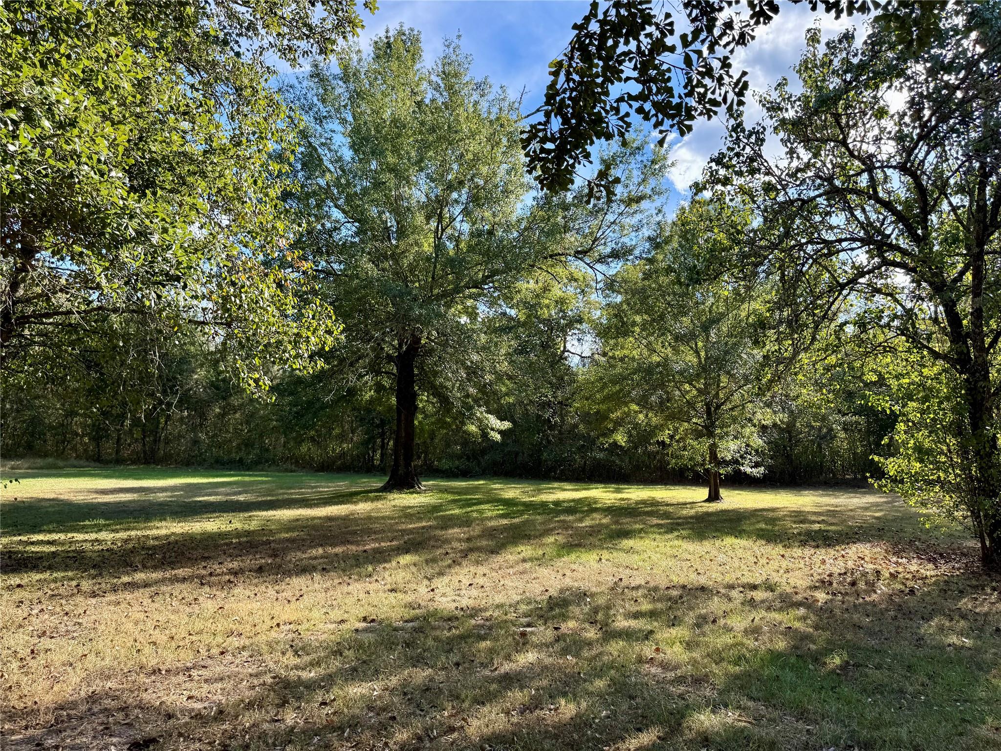 13 Chandler Road, Huntsville