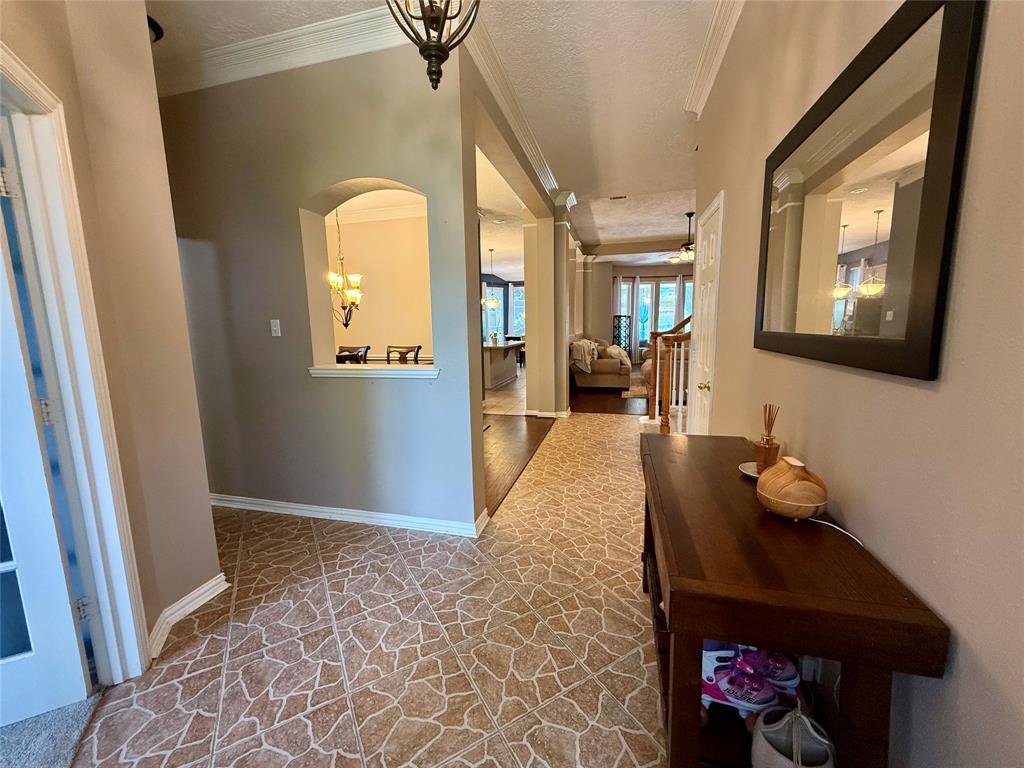 11719 Gray Forest Trail