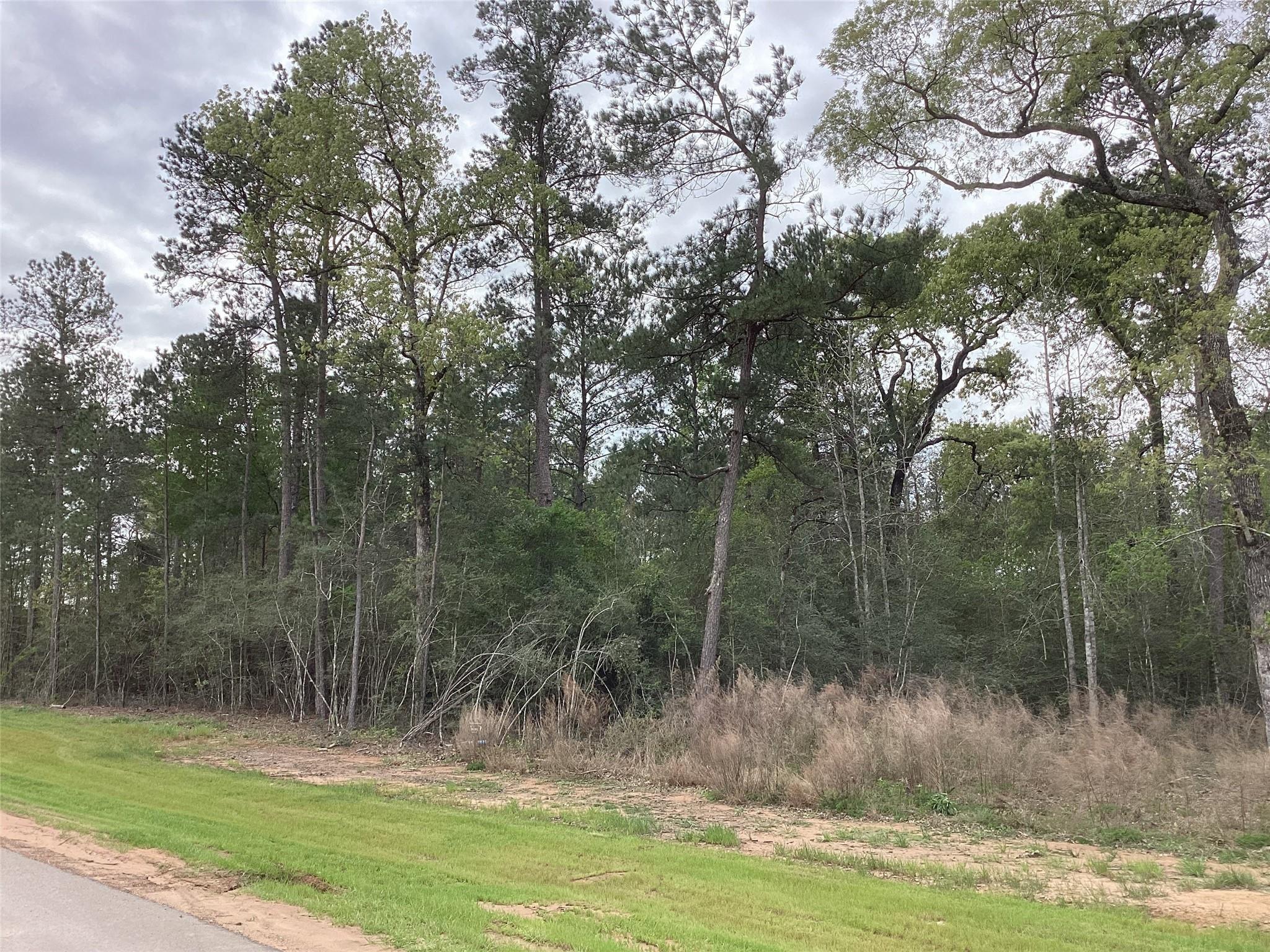 19844 Whispering Creek Trail