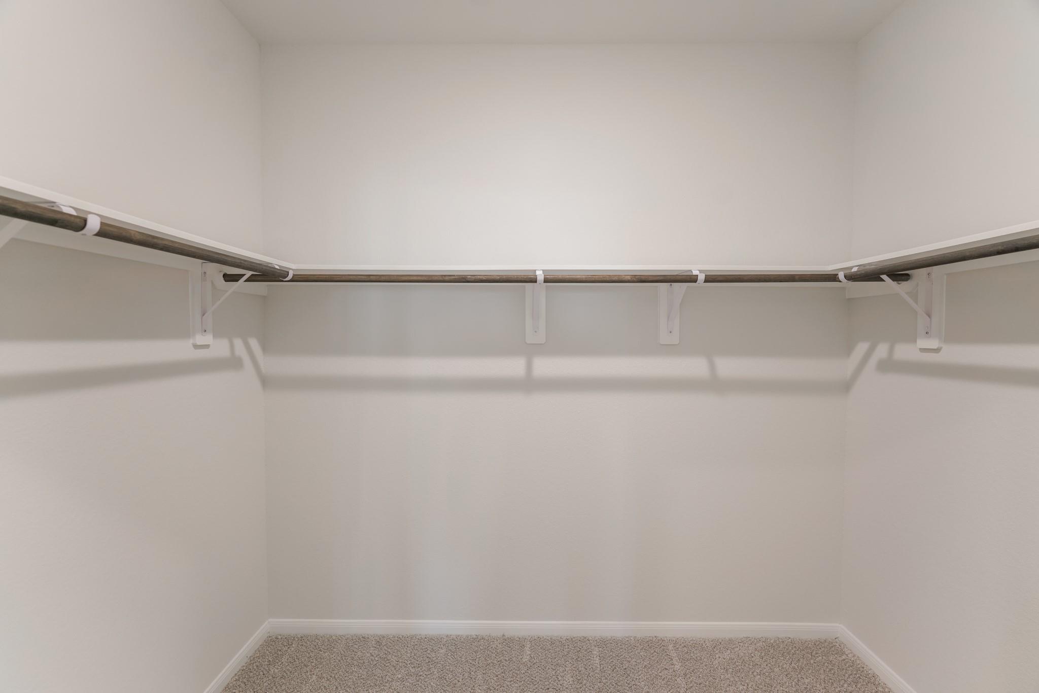 8498 Sweet Cherry In