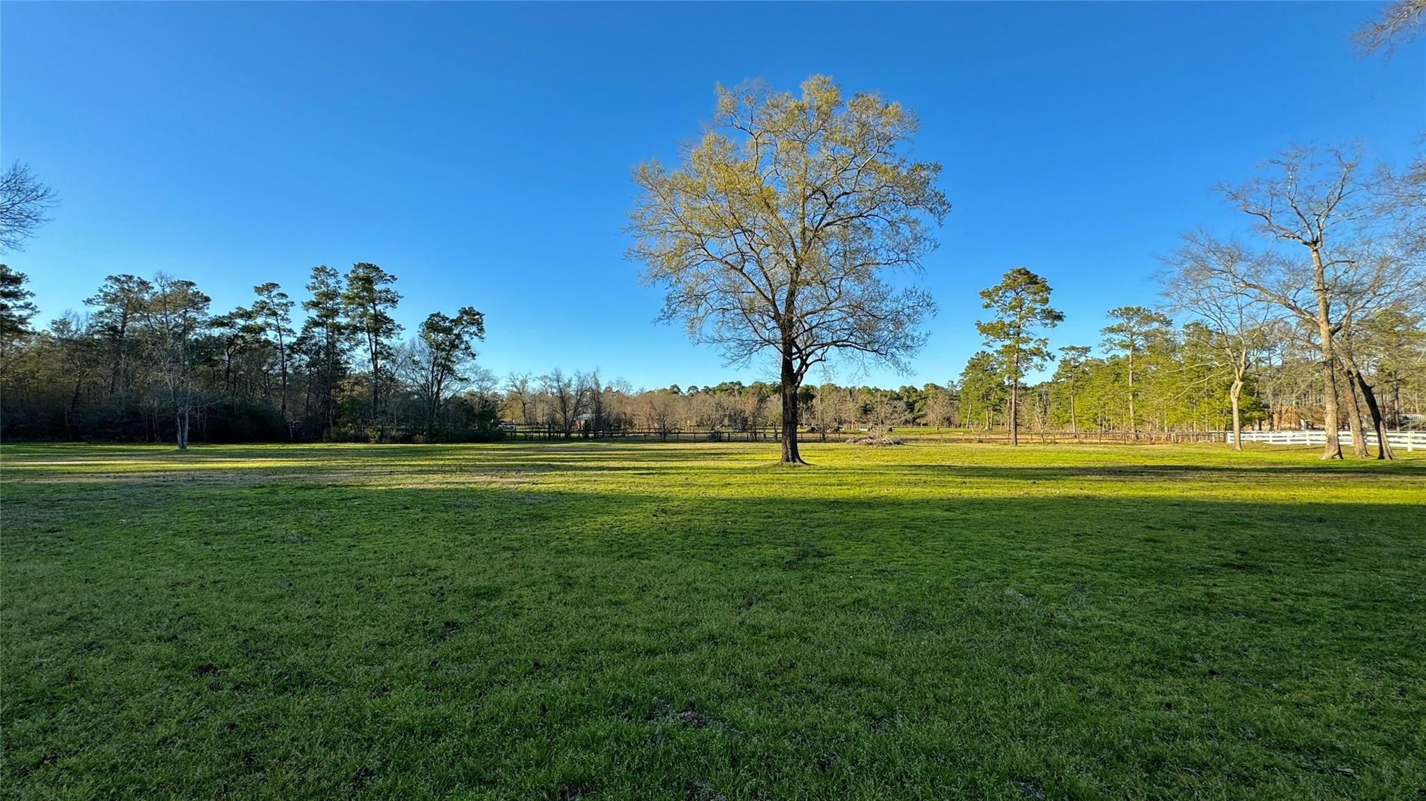 15216 Saddlewood Drive