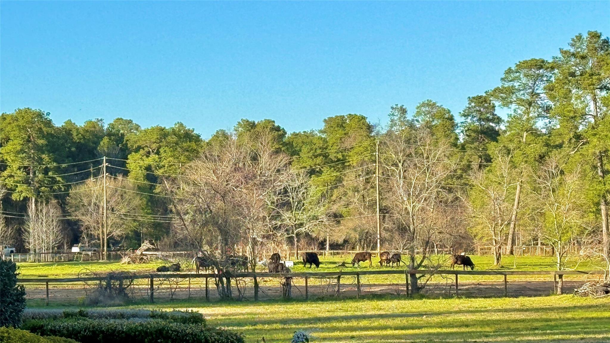 15216 Saddlewood Drive