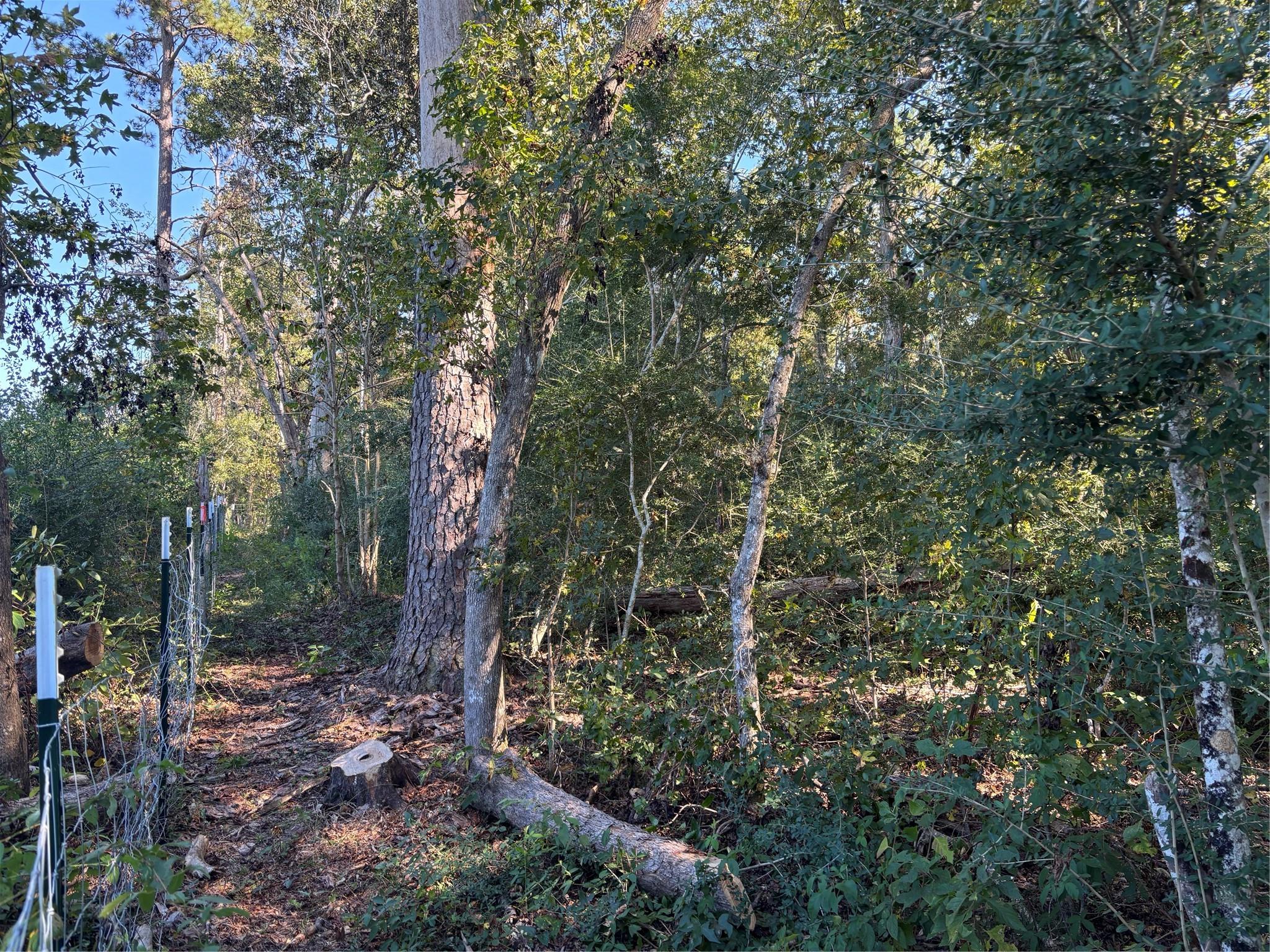 000 L C Herschap Lane