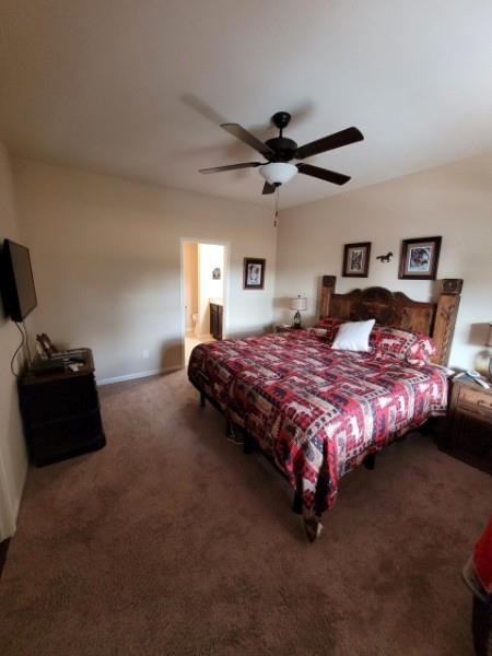 9041 Oval Glass Street