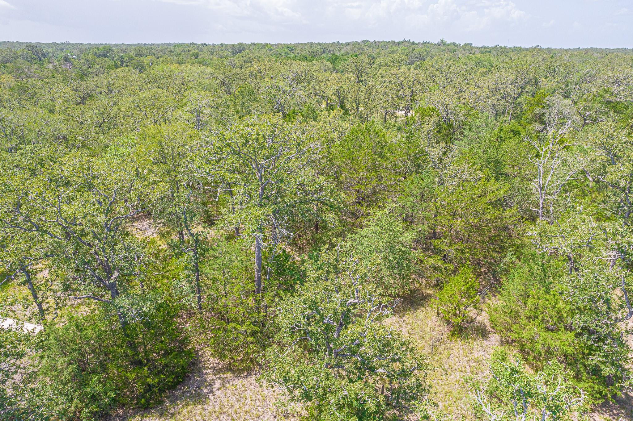 110/111 Hardwood Lane
