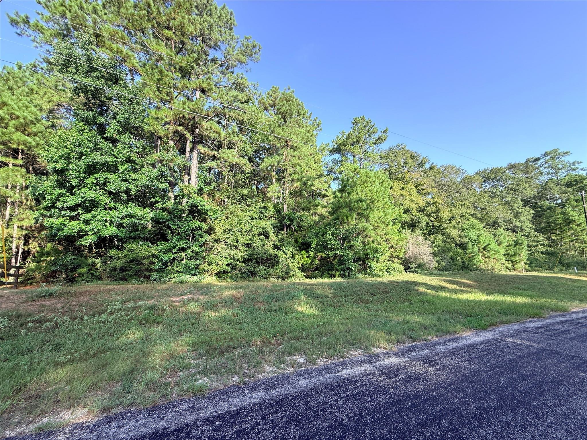 177 Sundog Road