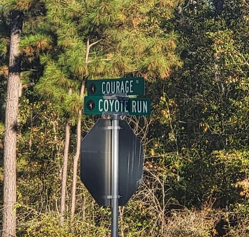 104 Coyote Run