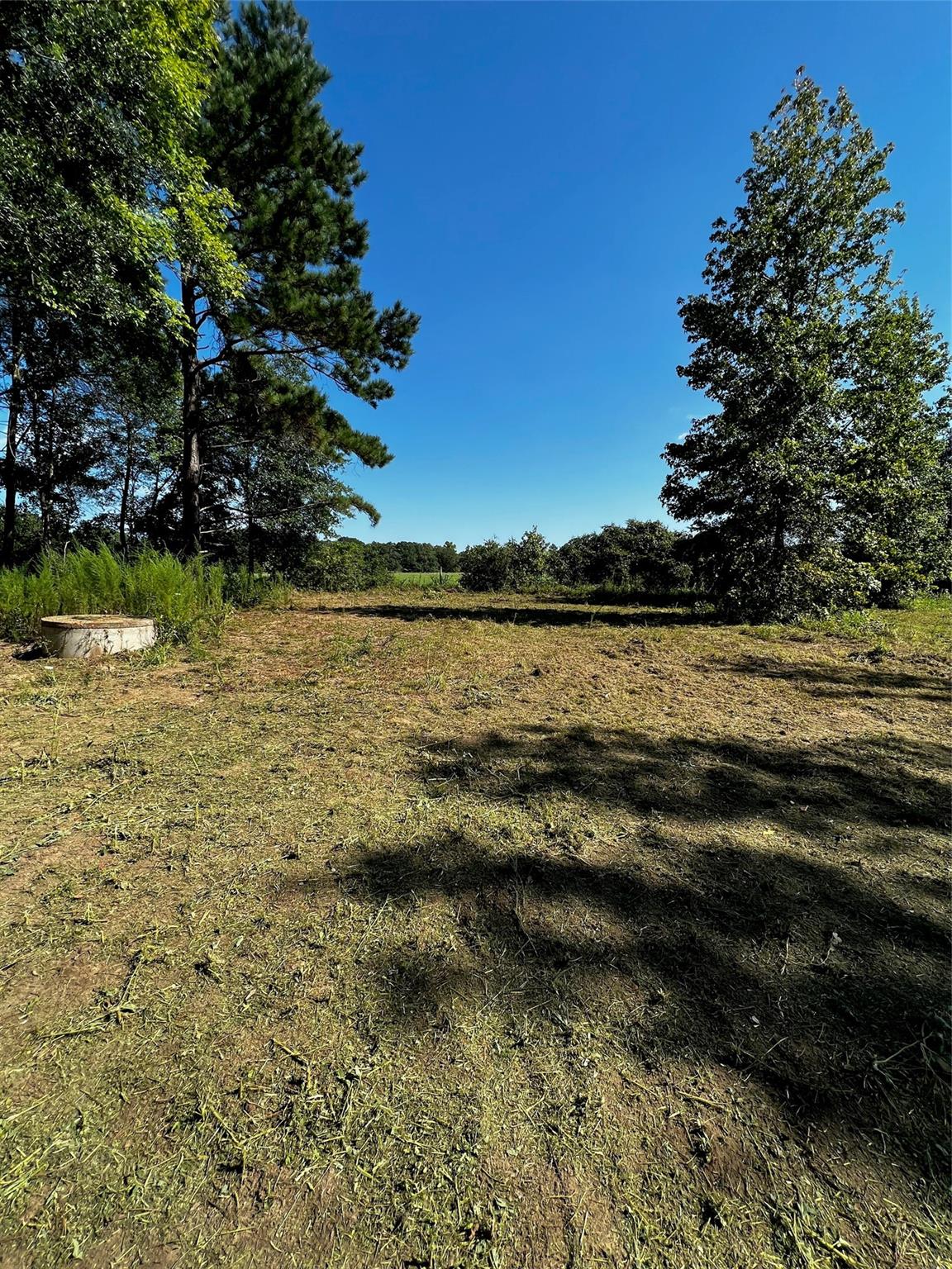 5604 County Road 364 10 Acres