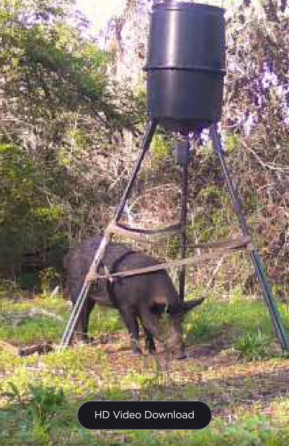 5604 County Road 364 10 Acres