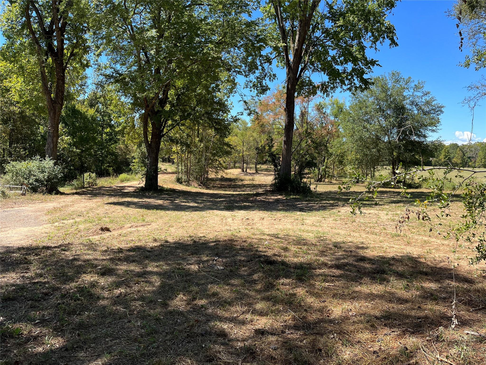 5604 County Road 364 10 Acres