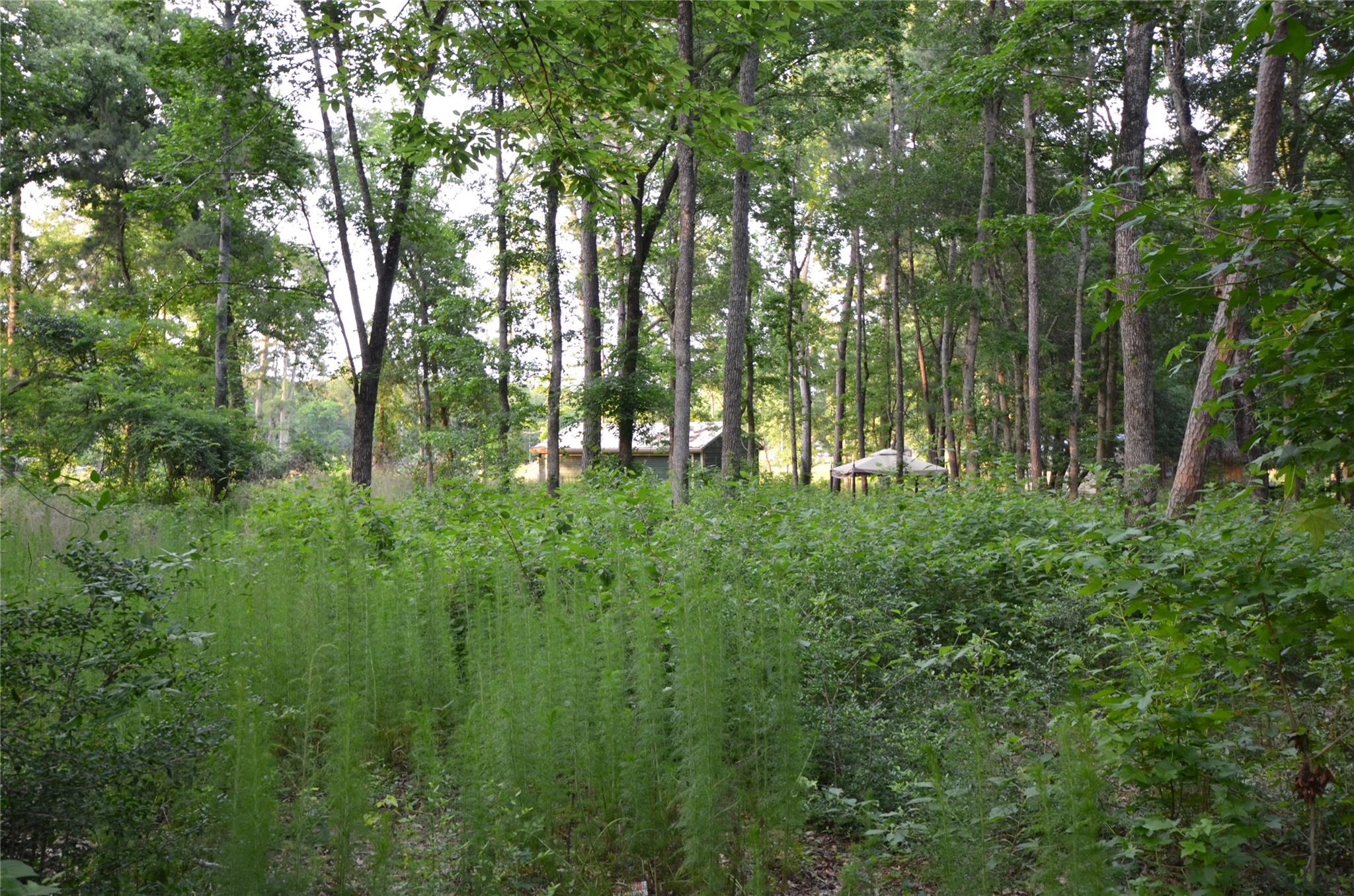 28102 Nichols Sawmill Road