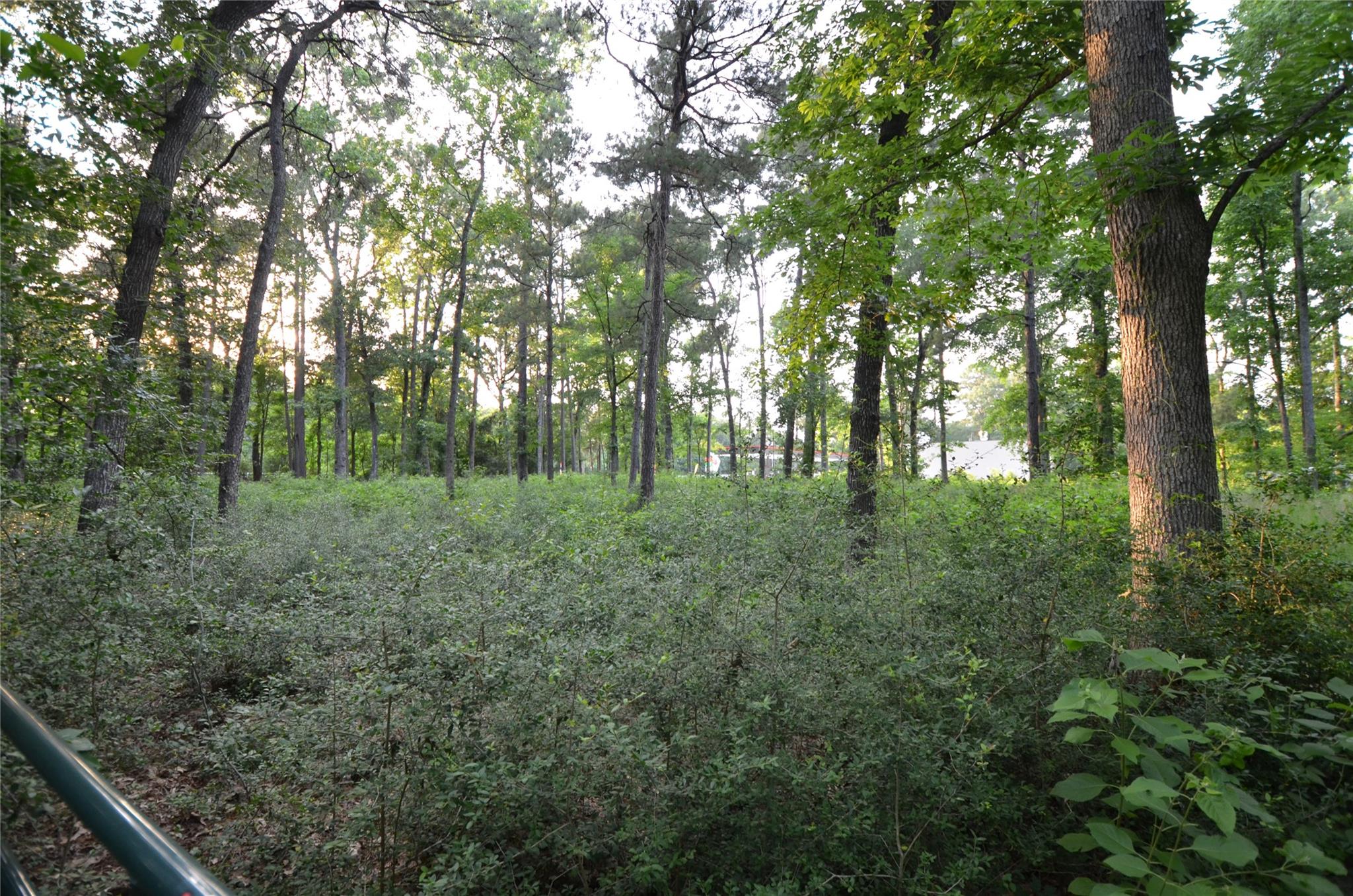 28102 Nichols Sawmill Road
