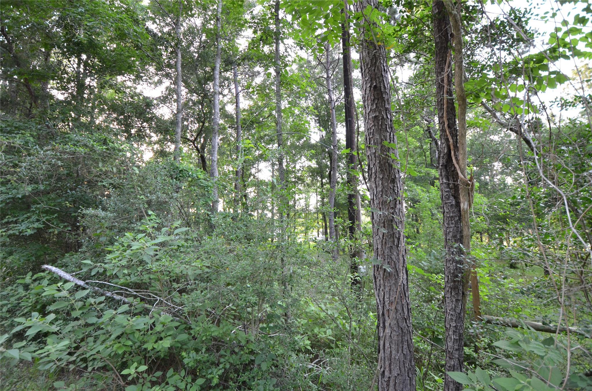 28102 Nichols Sawmill Road