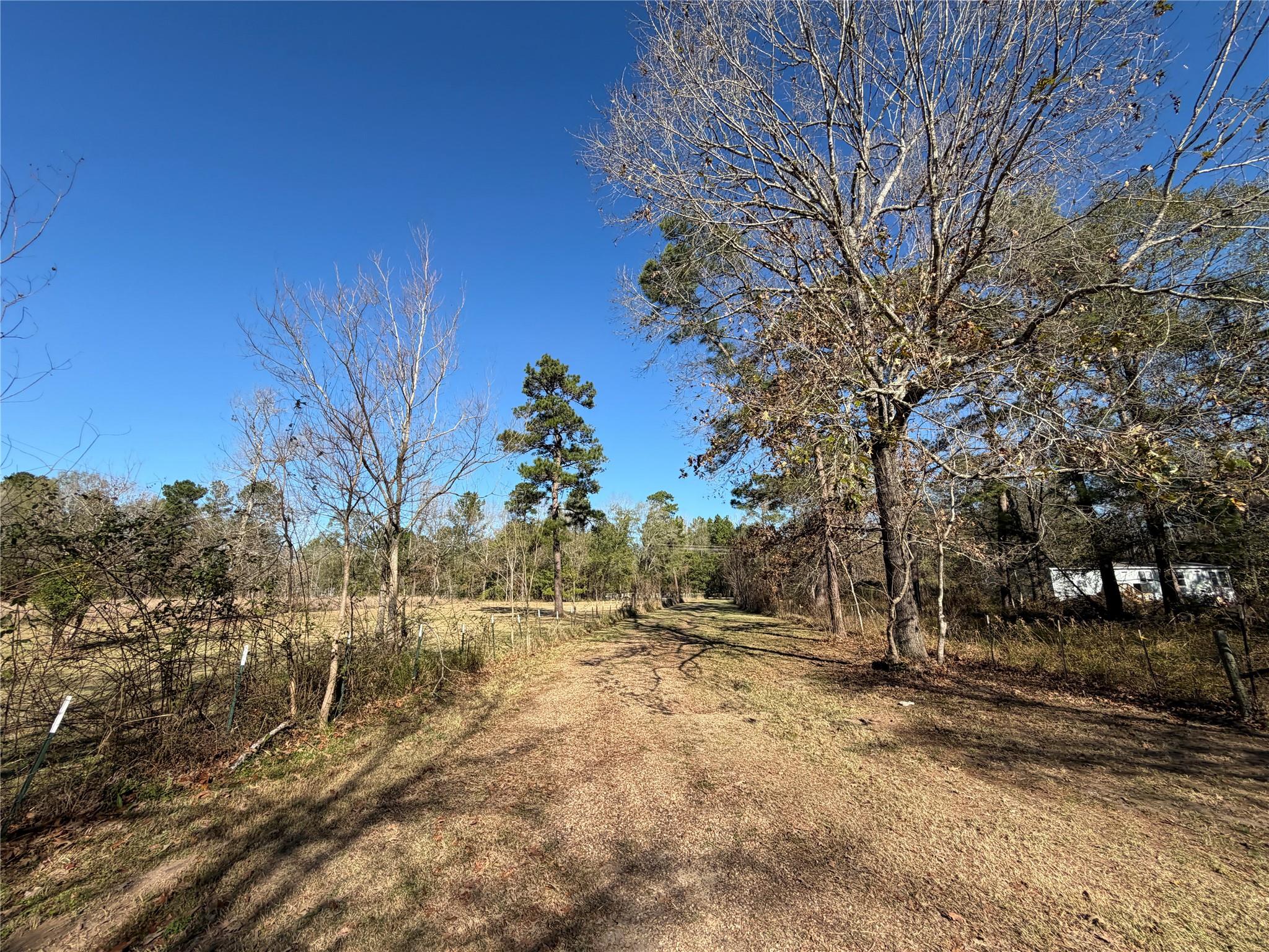 397 County Road 2117