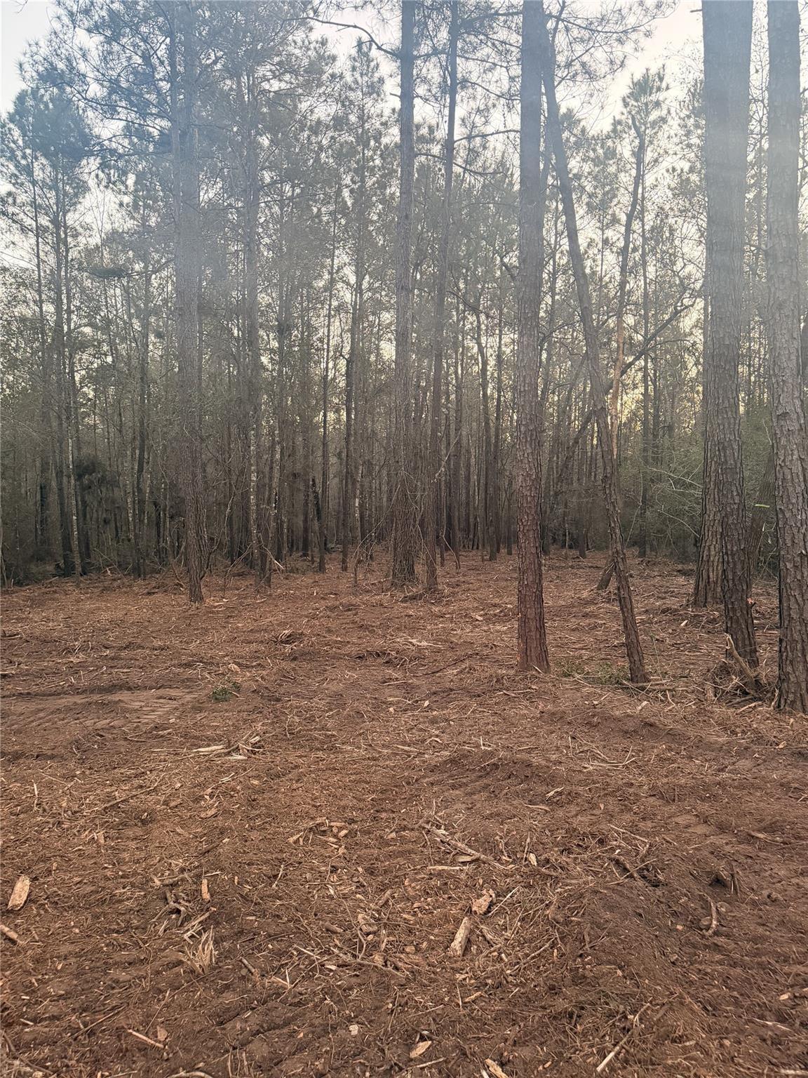 104 Coyote Run