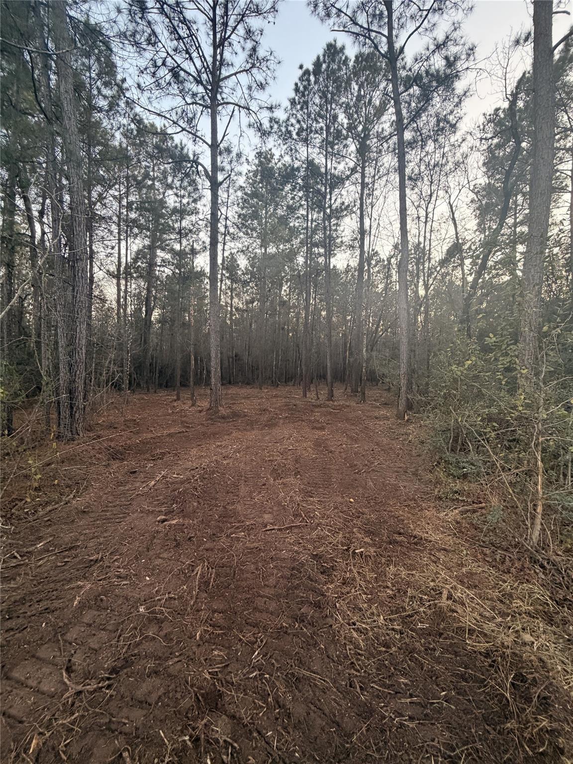 104 Coyote Run