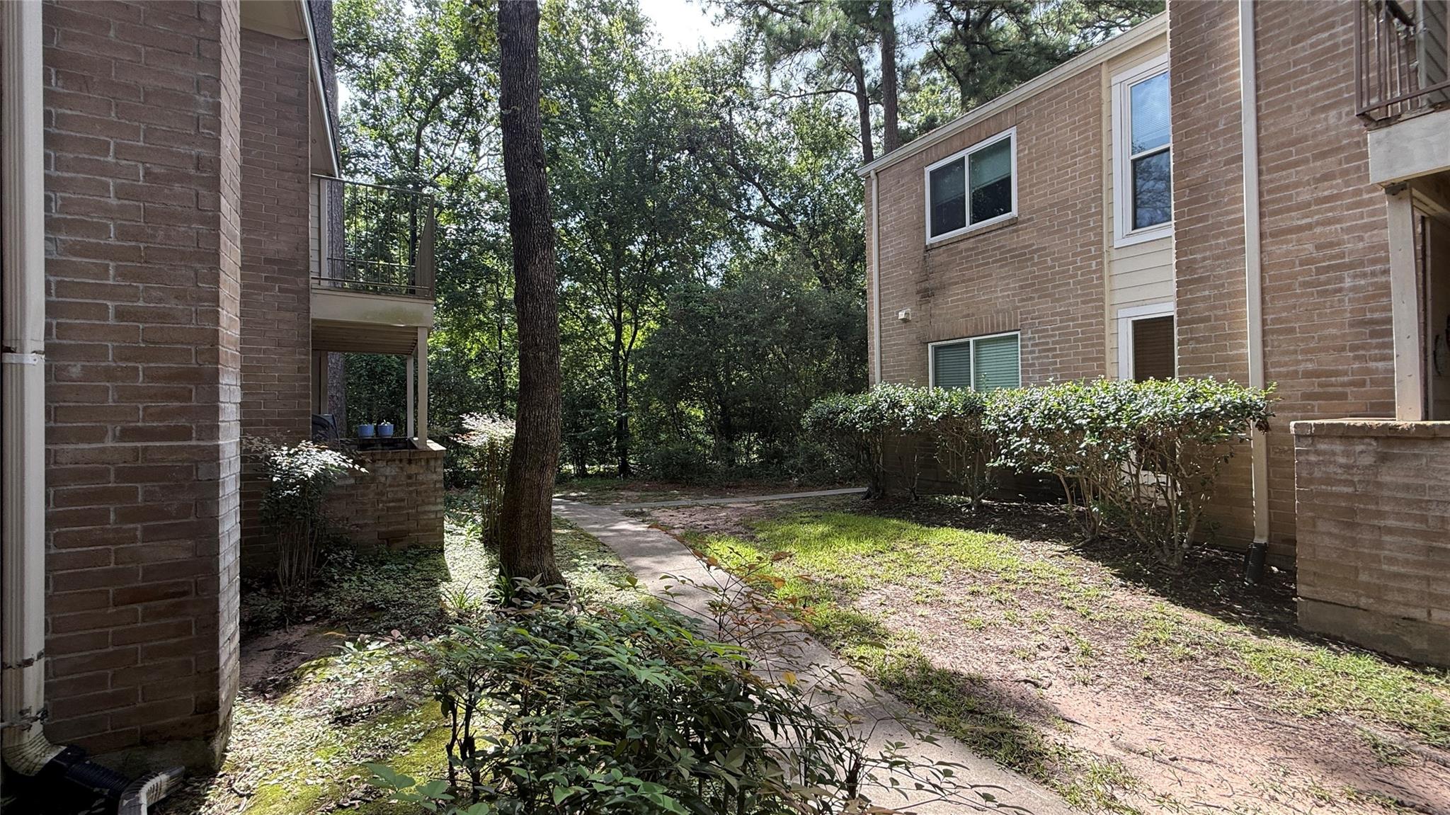 3500 Tangle Brush Drive # 13