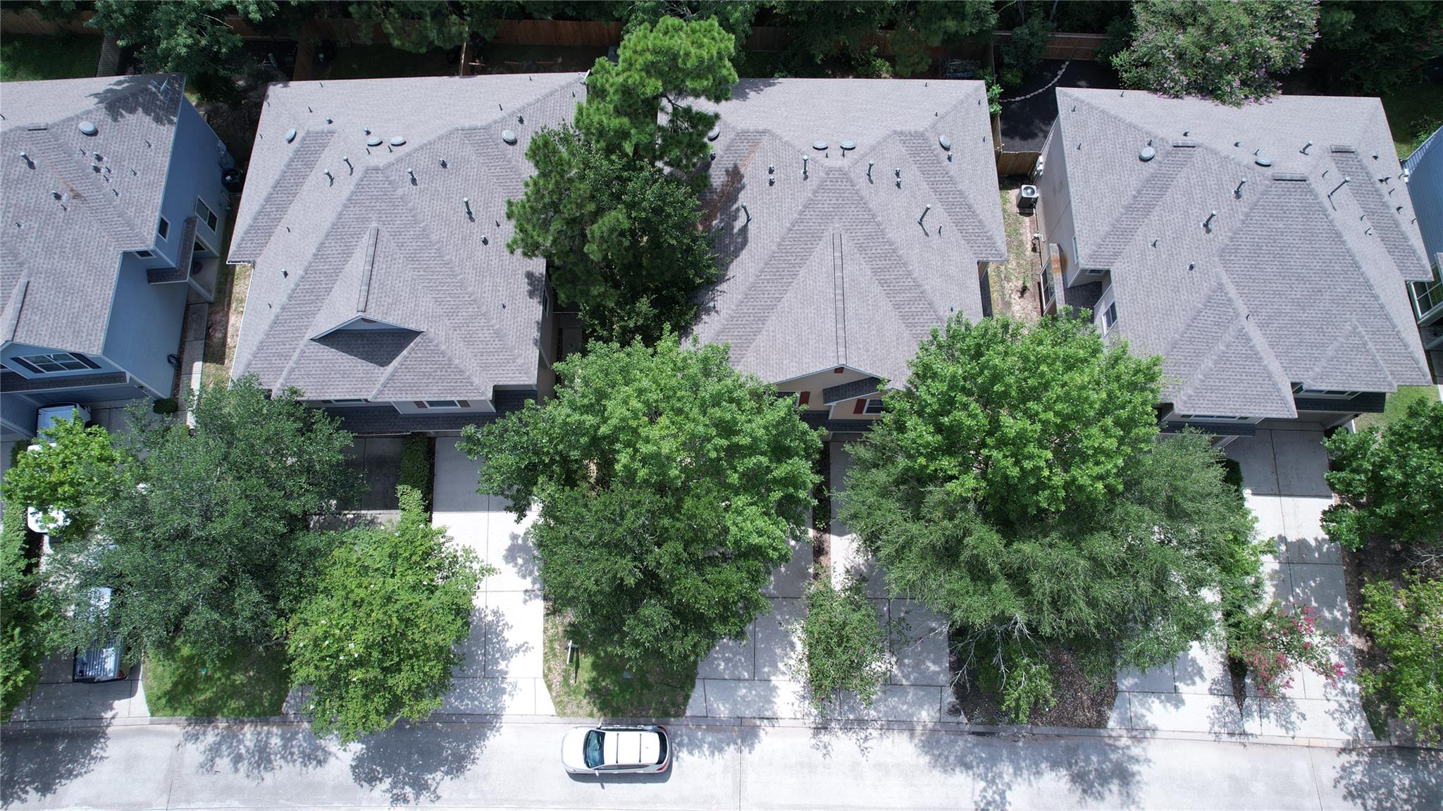 226 W Stedhill Loop