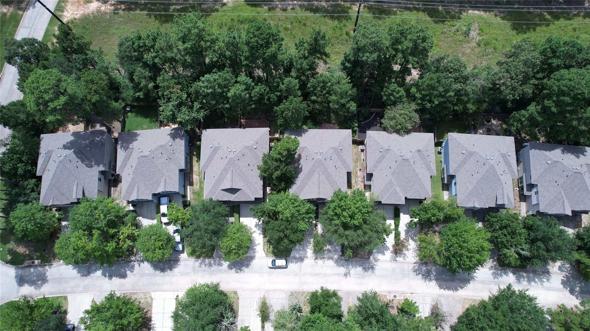 226 W Stedhill Loop
