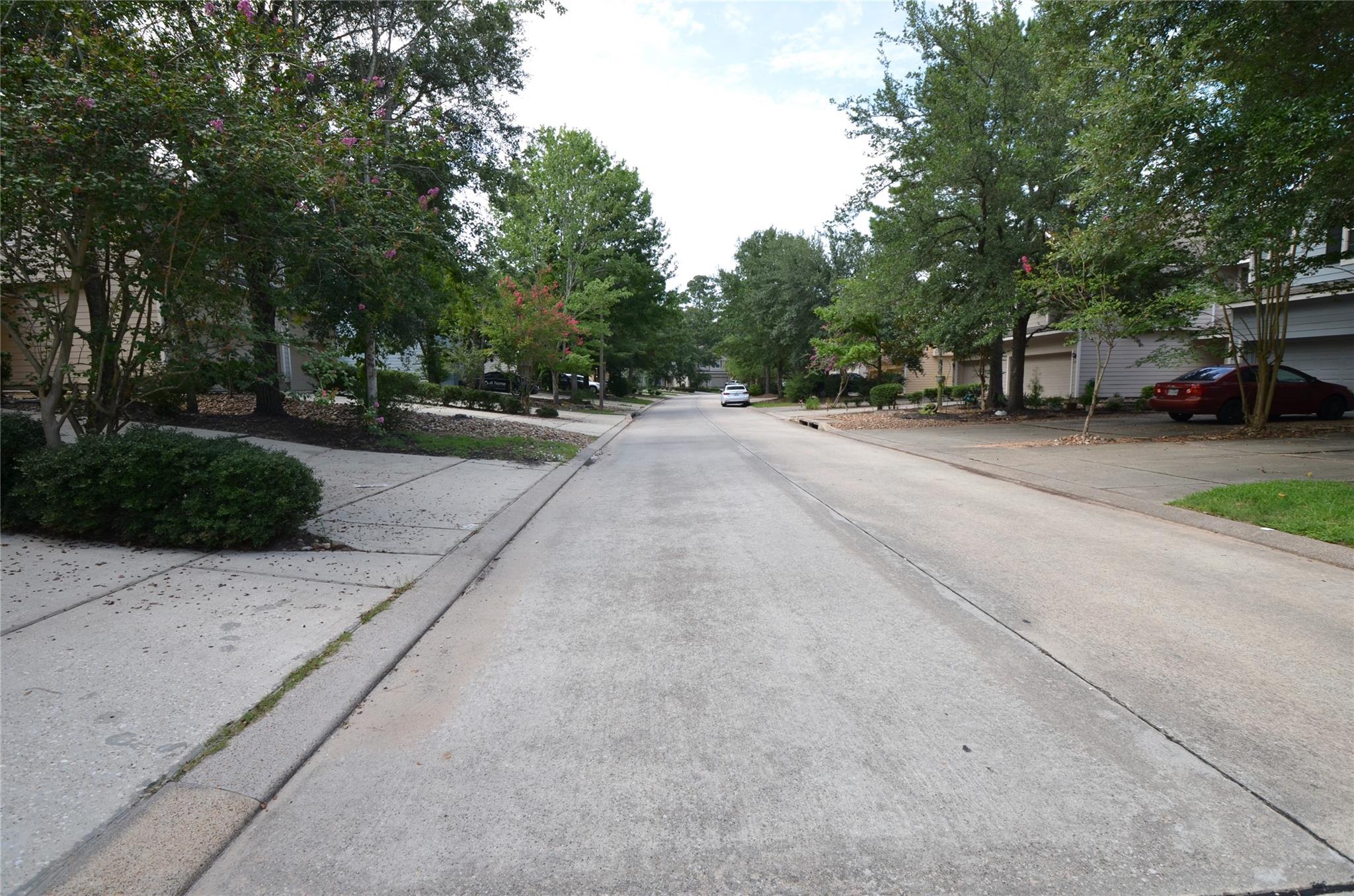 226 W Stedhill Loop