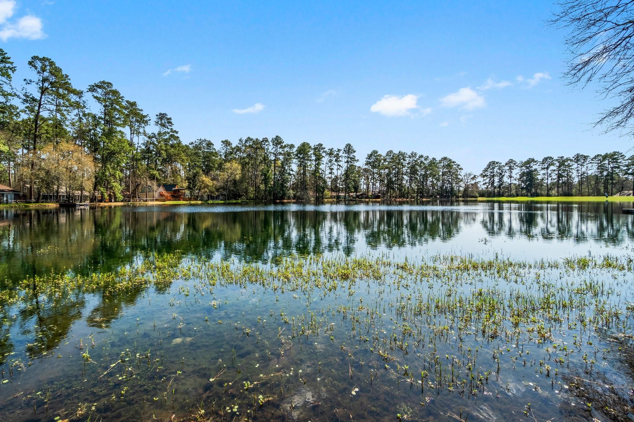 9847 N Lake View