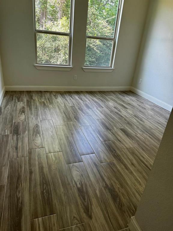 25018 Rhett Butler Court