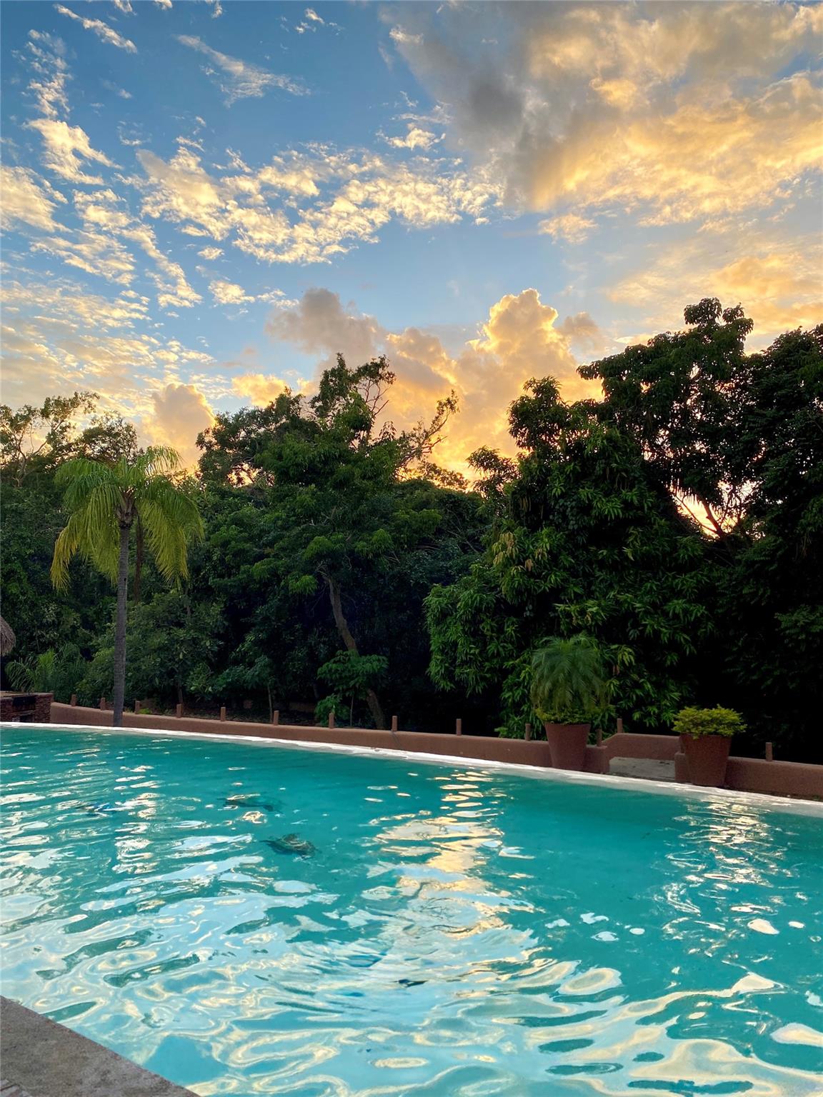 61 Refugio Del Cocodrilo