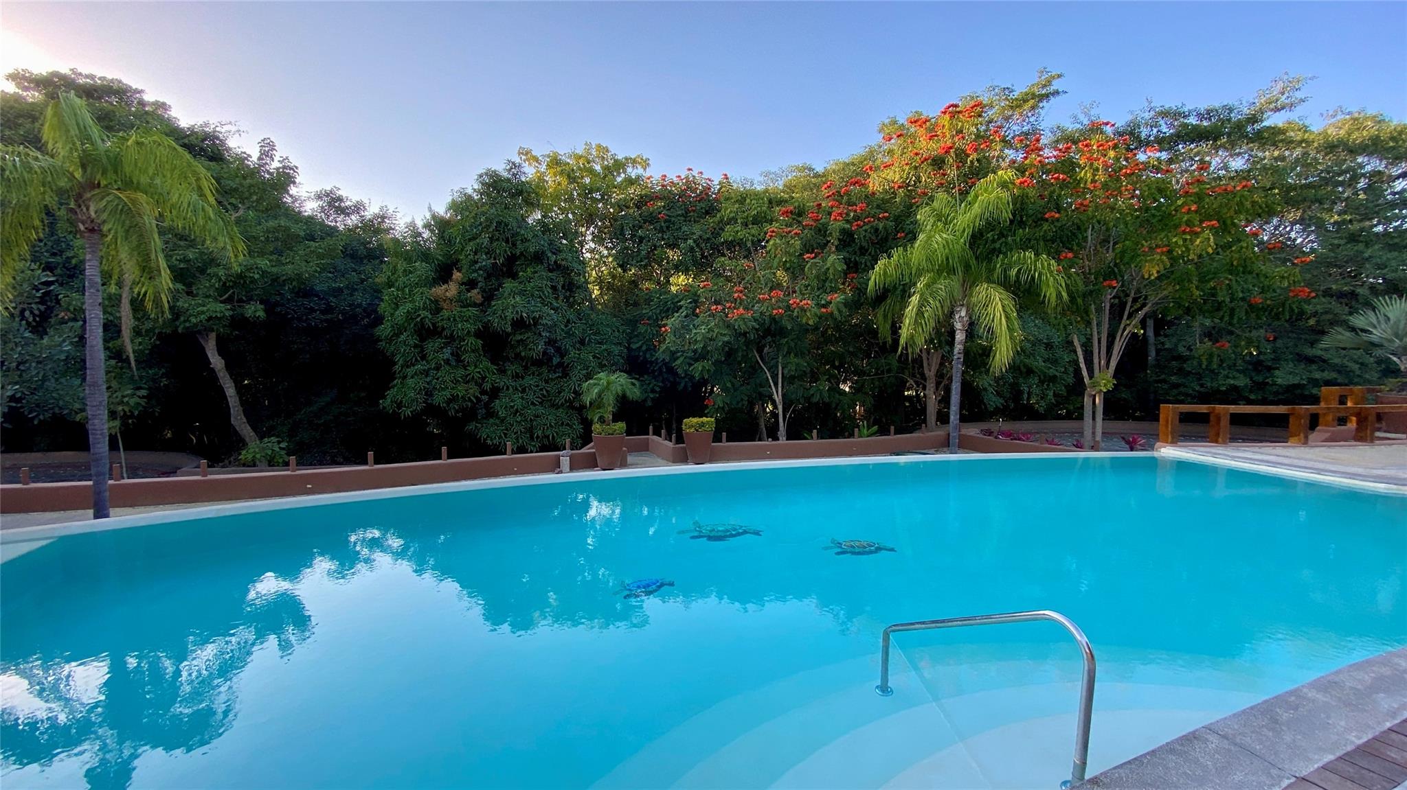 61 Refugio Del Cocodrilo