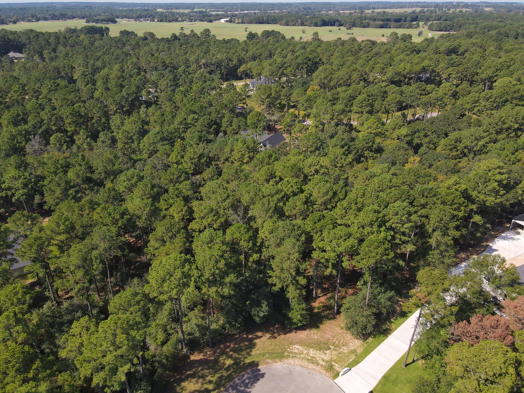 9400 Old Cedars Drive