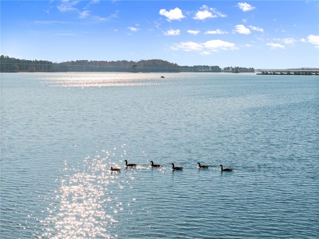 5431 Mayflower Court