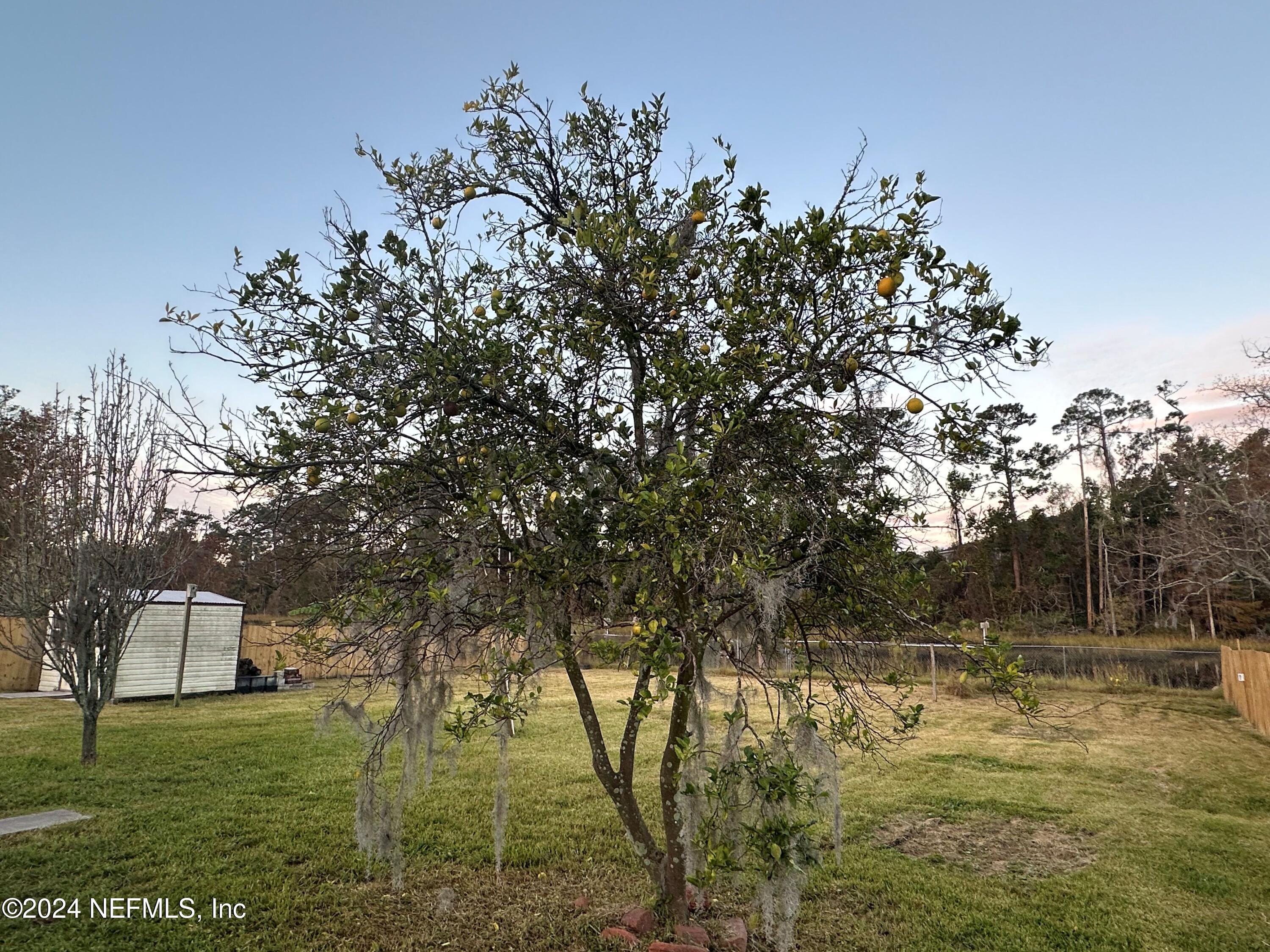 10512 TULSA Road