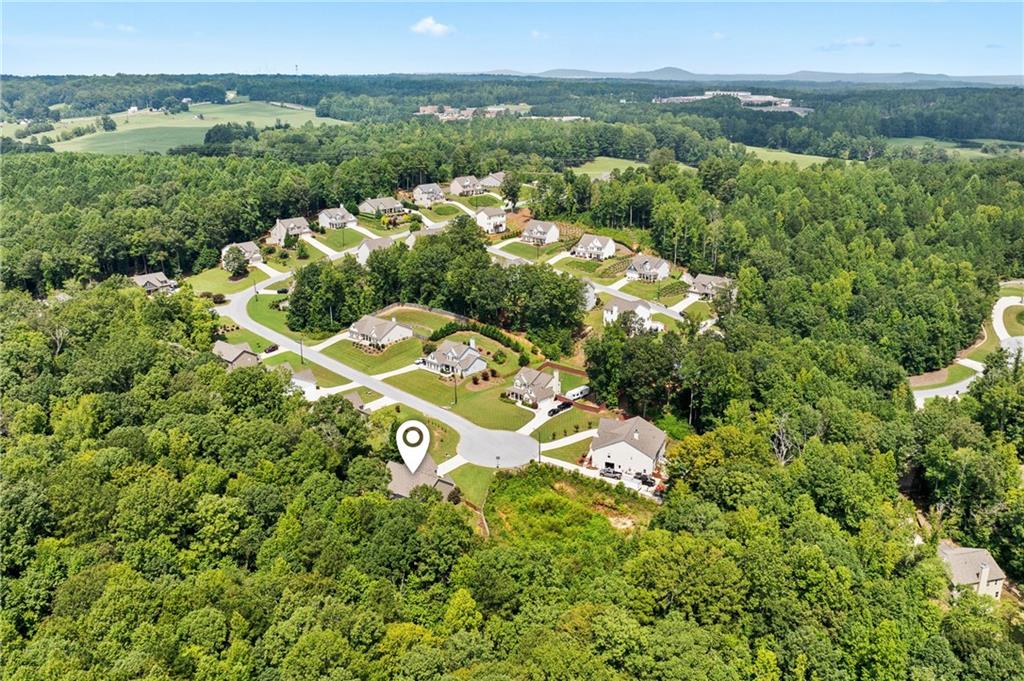 264 Holland Grove Drive