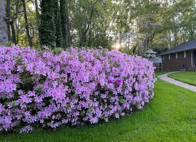 3137 Beechwood Drive