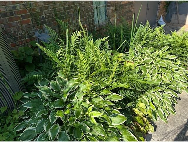 3137 Beechwood Drive