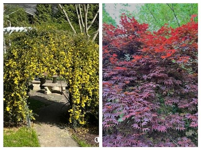 3137 Beechwood Drive