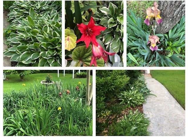 3137 Beechwood Drive