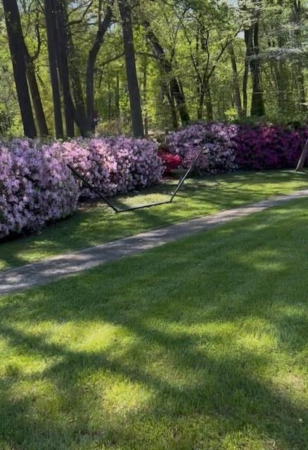 3137 Beechwood Drive