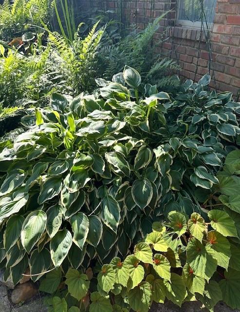 3137 Beechwood Drive