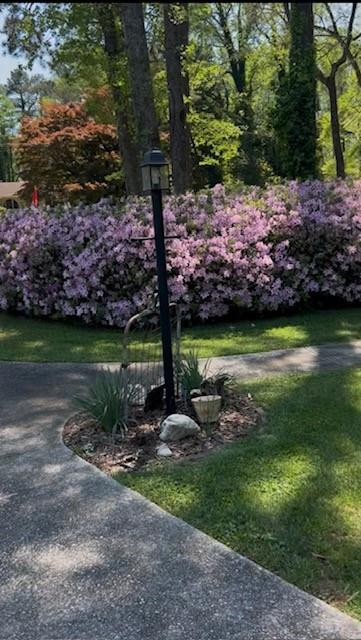 3137 Beechwood Drive