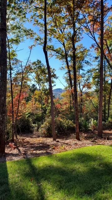 206 Celestial Circle