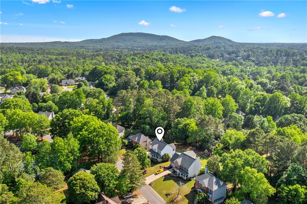 1325 Willow Tree Drive