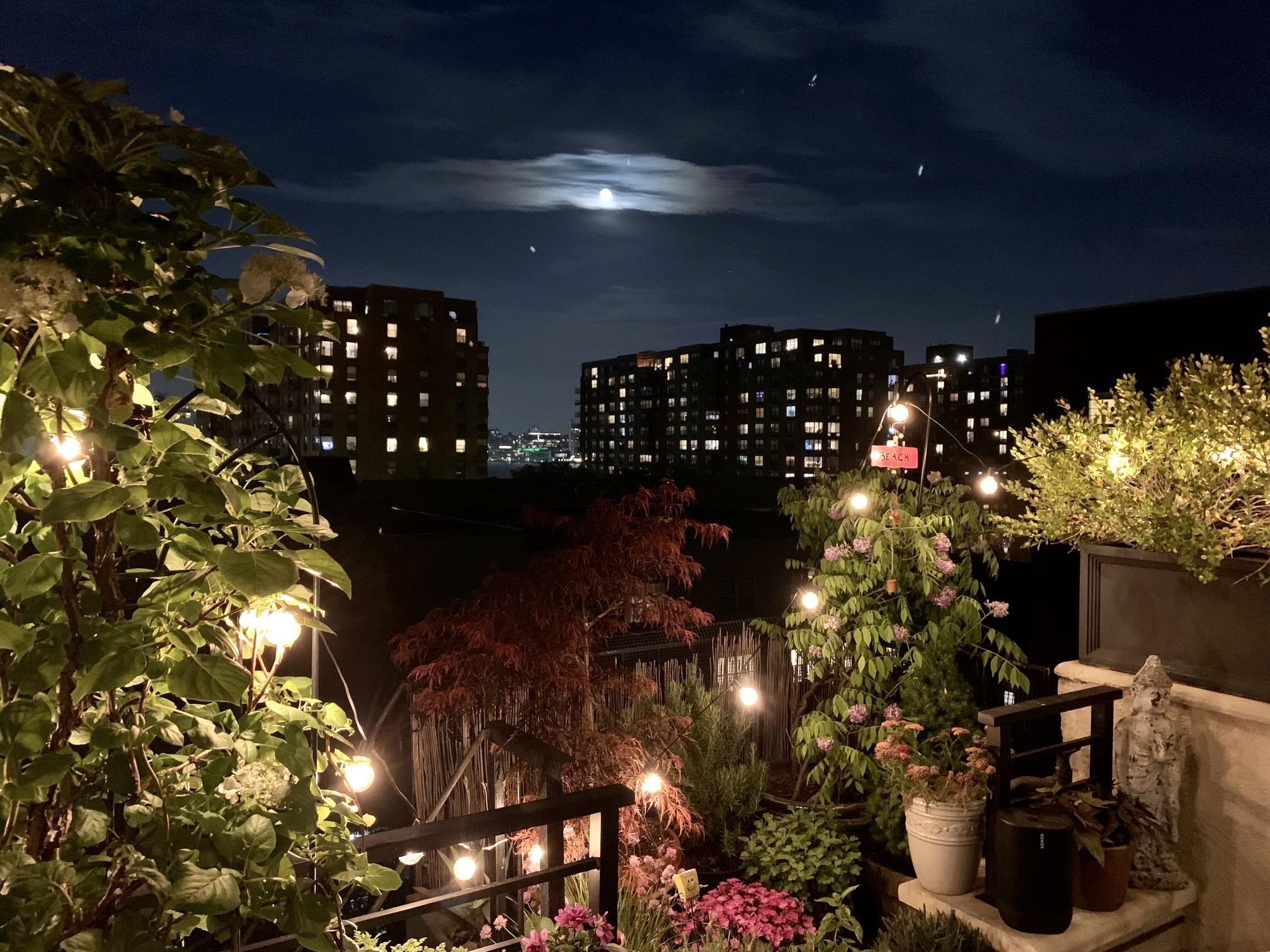 1315 WASHINGTON ST Unit: PHS