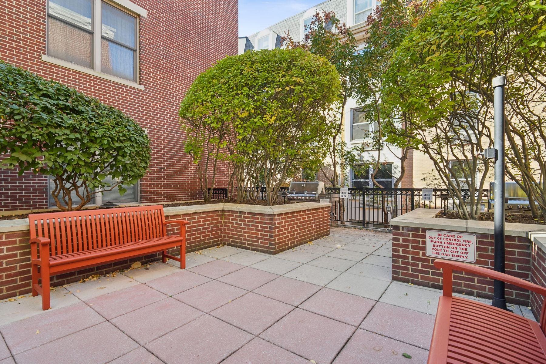 126 DUDLEY ST Unit: 310